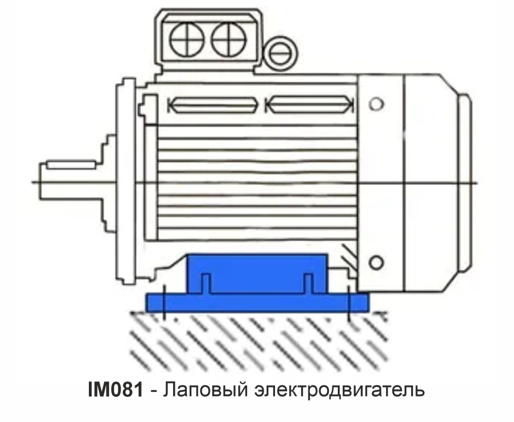 im1081.jpg