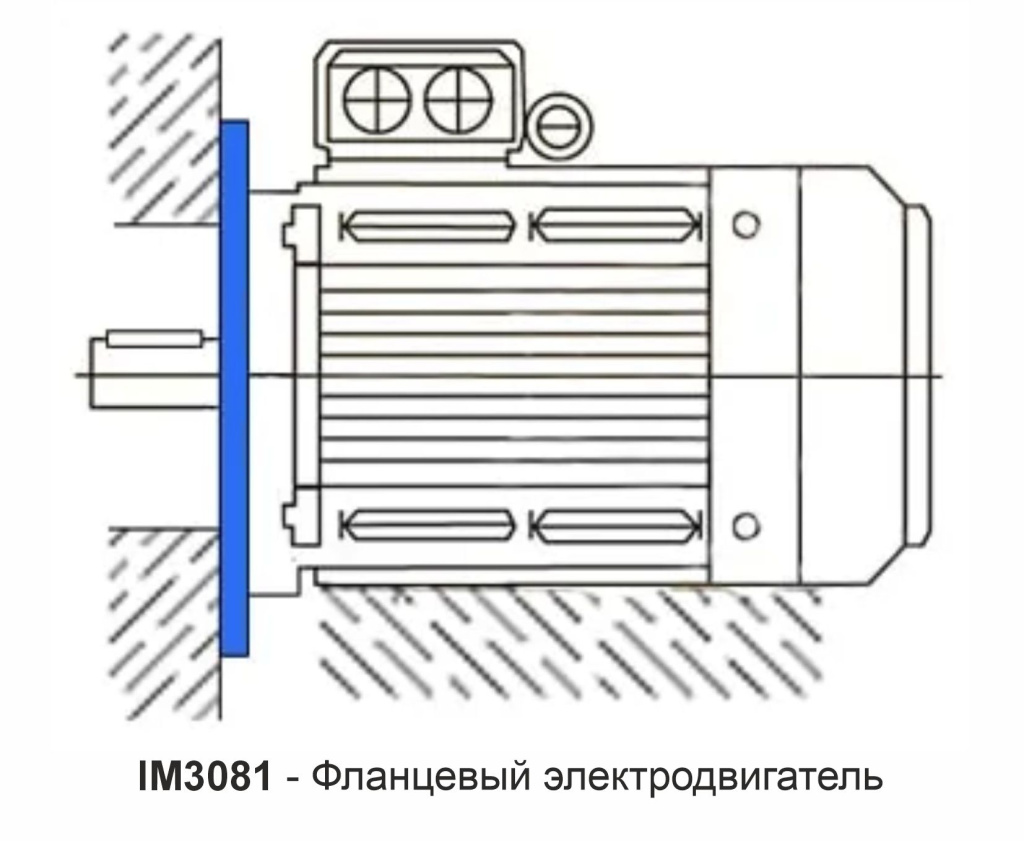 im3081.jpg